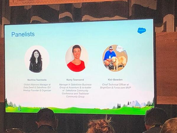 جولة Salesforce العالمية الصورة 11