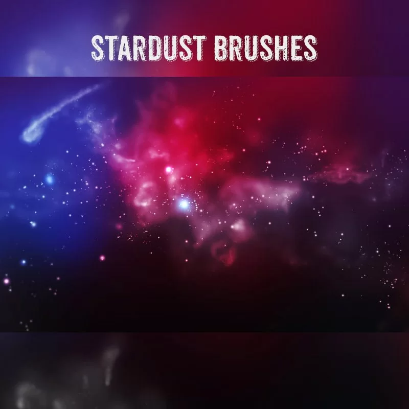 แปรง Stardust PS