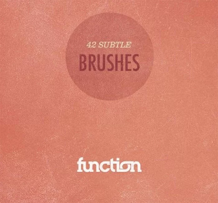 แปรงที่ละเอียดอ่อน