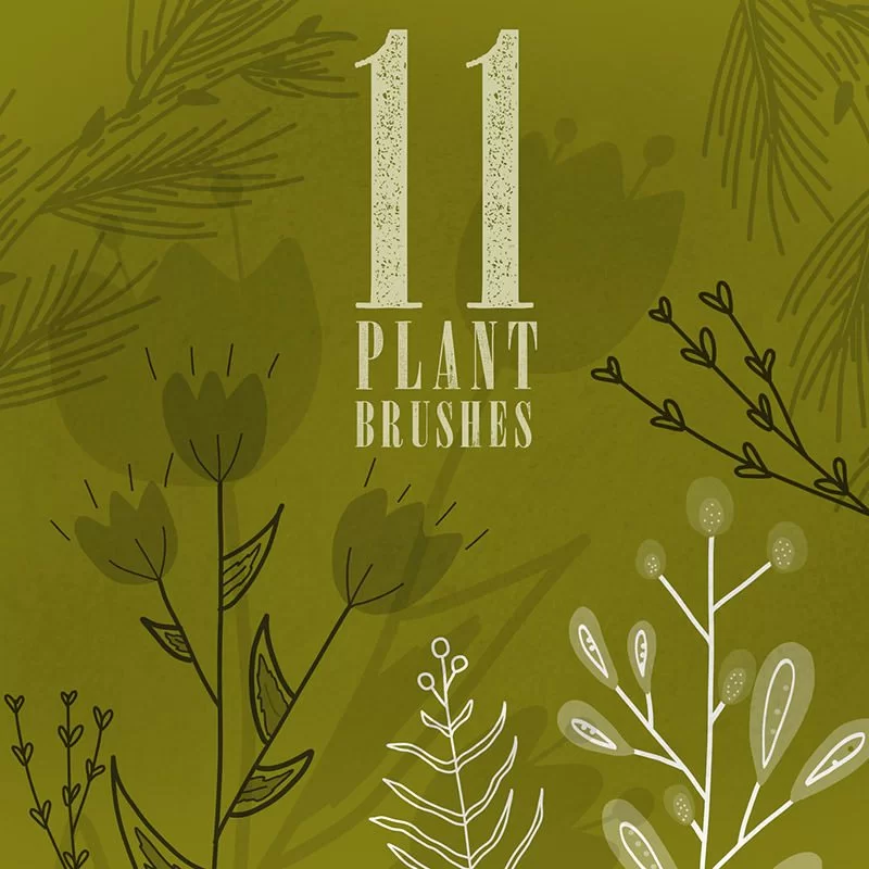 แปรงพืช