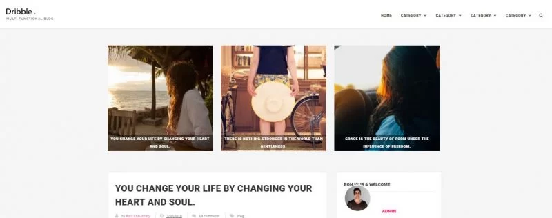 dribble-blogger-vorlage