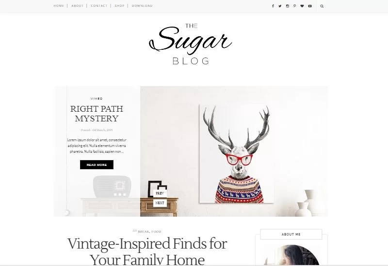 Sugar Blogger-Vorlage
