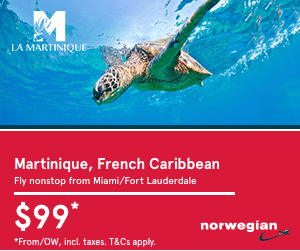 النرويجية عيد الميلاد راية