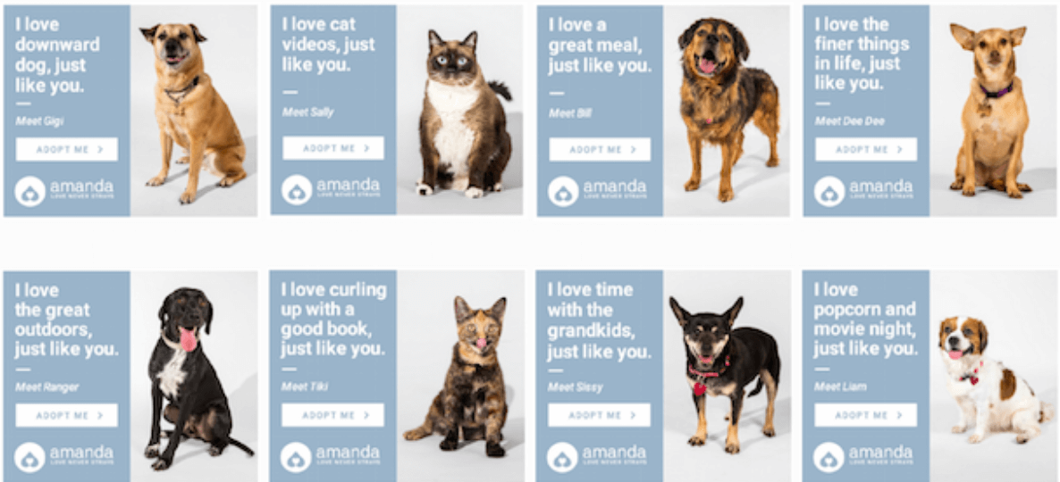 アマンダ-ファウンデーション-プログラマティック-広告