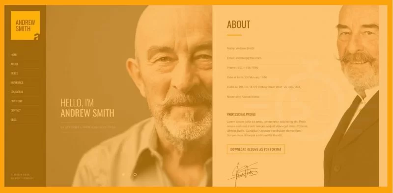 قوالب محفظة جملة