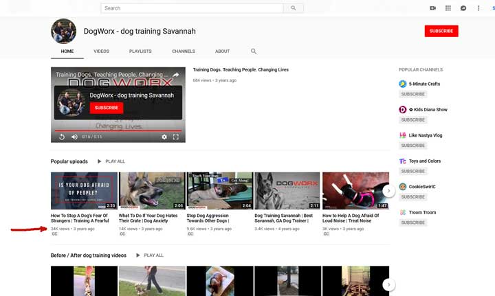 pemasaran video saluran youtube