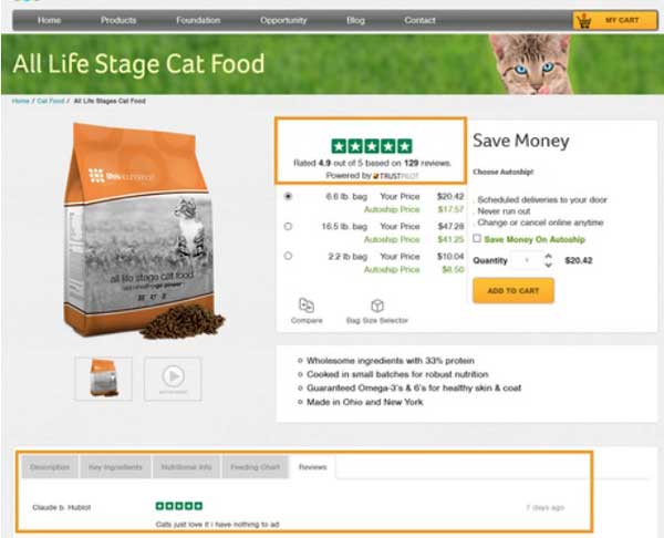 usa le recensioni dei clienti per la prova sociale