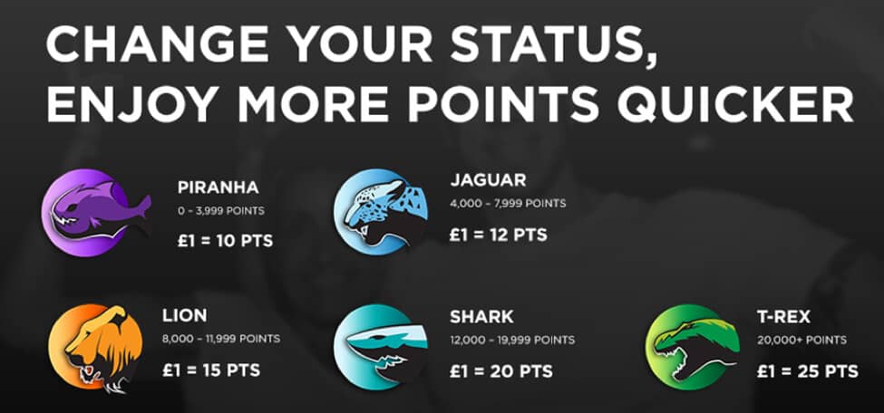 katmanlı sadakat programı