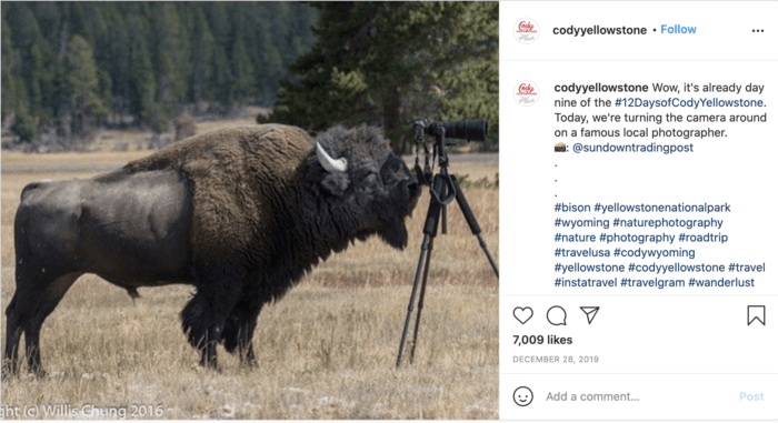 ตัวอย่างการมีส่วนร่วมในโซเชียลมีเดียการเดินทางจาก Cody Yellowstone มีกระทิงมองผ่านกล้อง